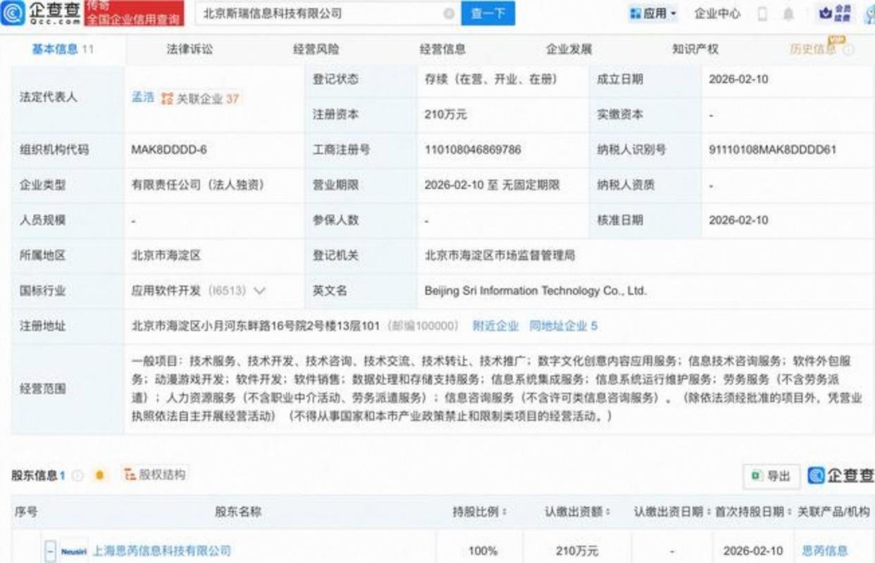 聚焦数字文化创意与信息技术综合服务,推动软件外包与数据处理业务